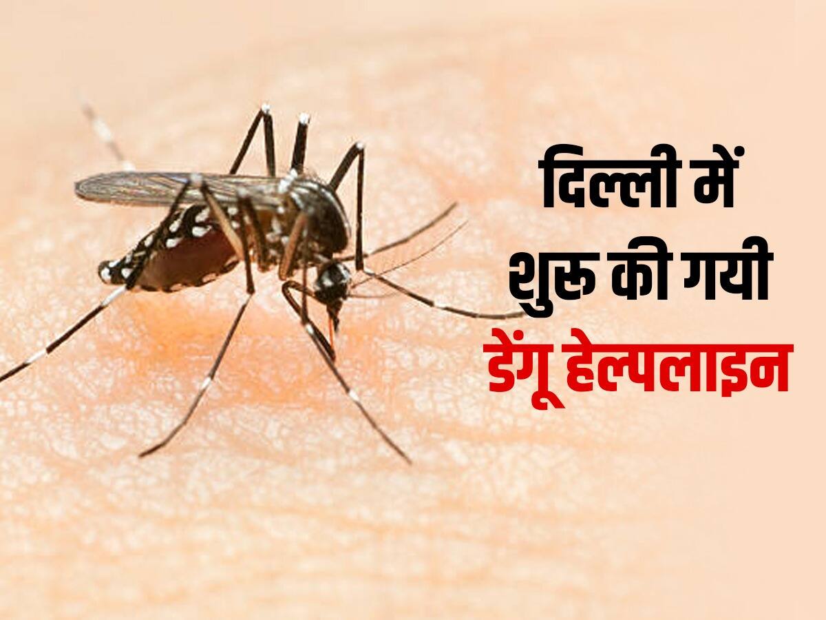 दिल्ली वालों के लिए जरूरी खबर,आपके इलाके में मिले डेंगू का केस तो करें इन नंबर्स पर फोन, नयी हेल्पलाइन शुरू